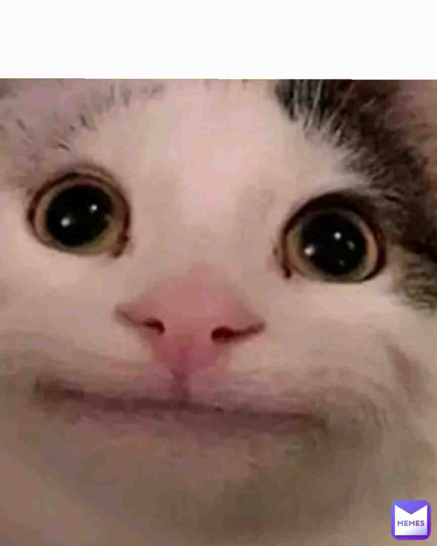 #memes #viral #bestmemes #popular #100followers