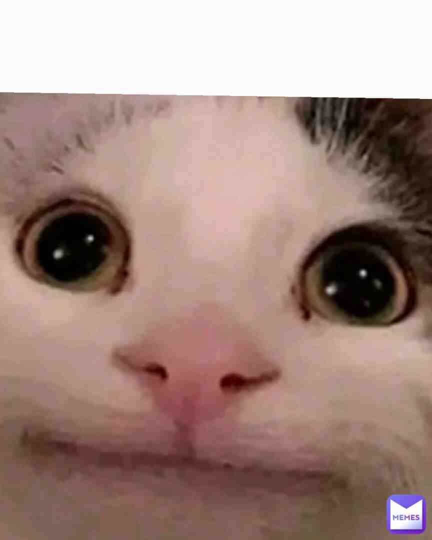 #memes #viral #bestmemes #popular #100followers