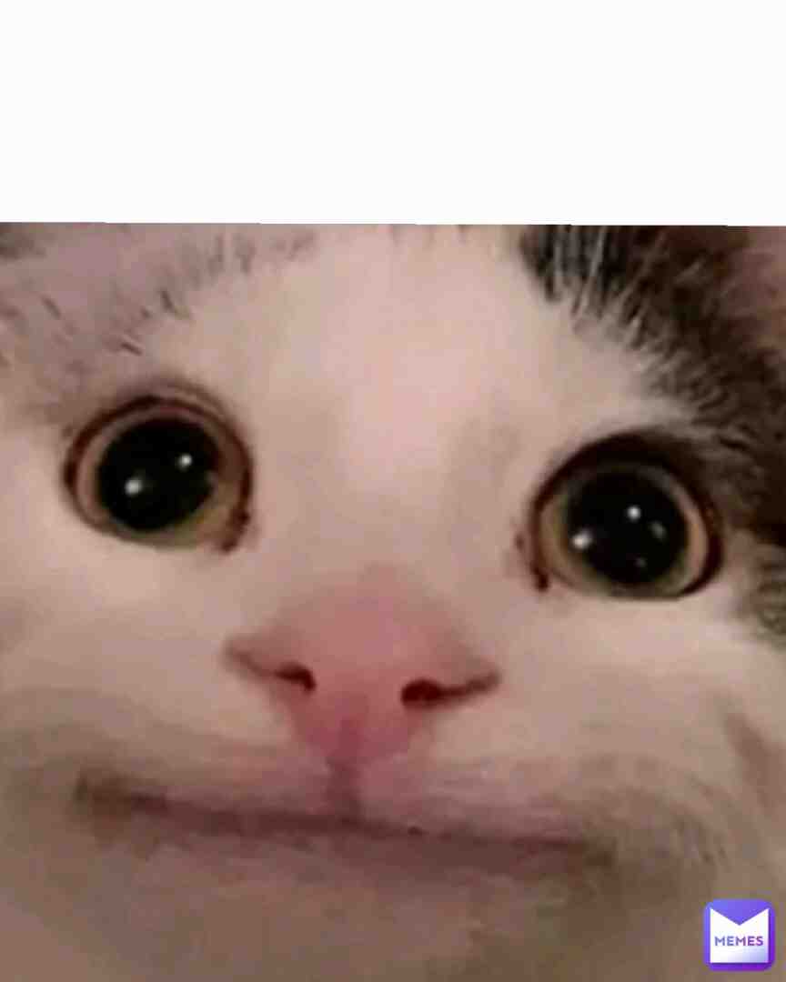 #memes #viral #bestmemes #popular #100followers