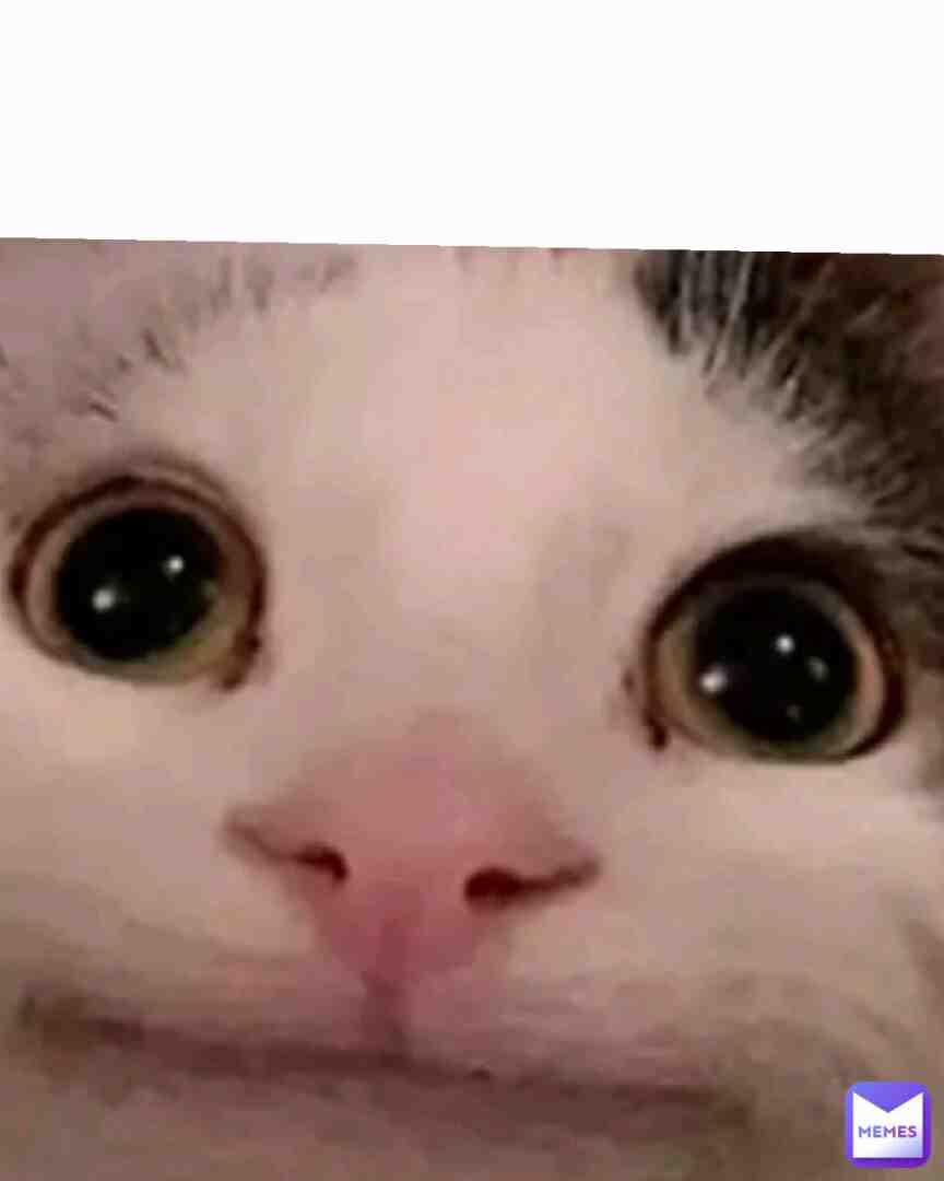 #memes #viral #bestmemes #popular #100followers