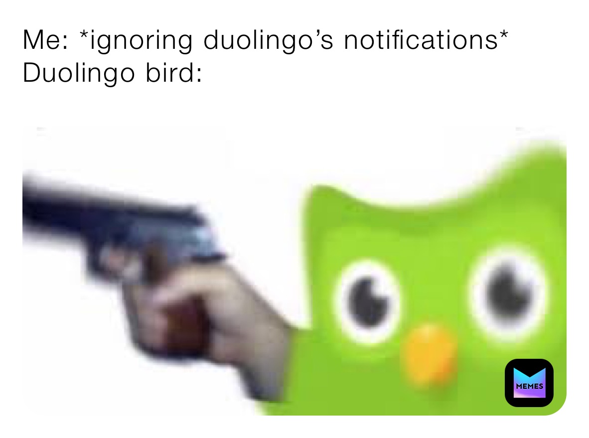 Me: *ignoring duolingo’s notifications*
Duolingo bird: