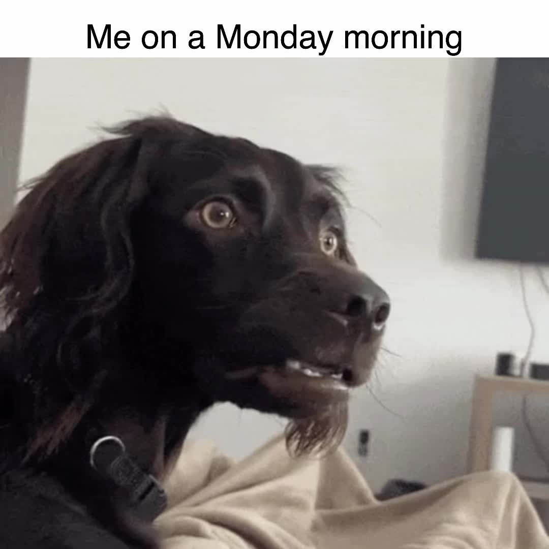 The title says it all   # #worksucks