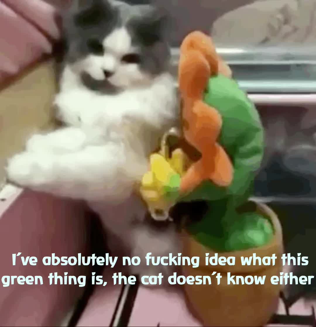 Meme preview