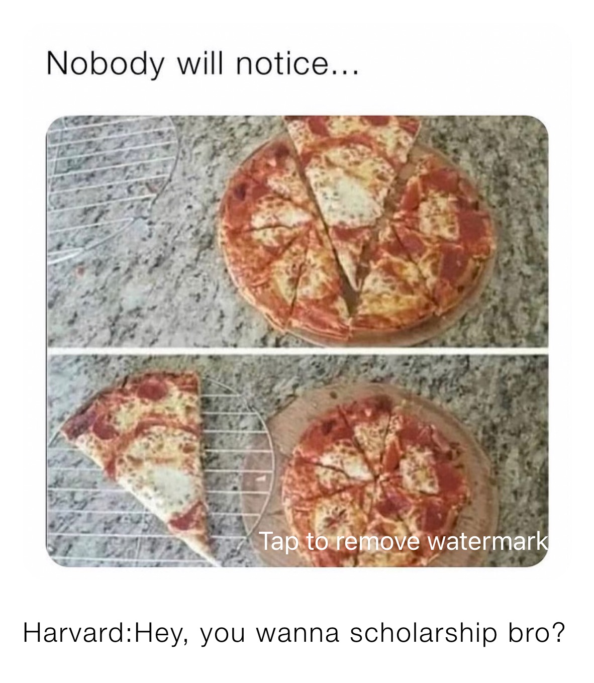 Harvard:Hey, you wanna scholarship bro? 