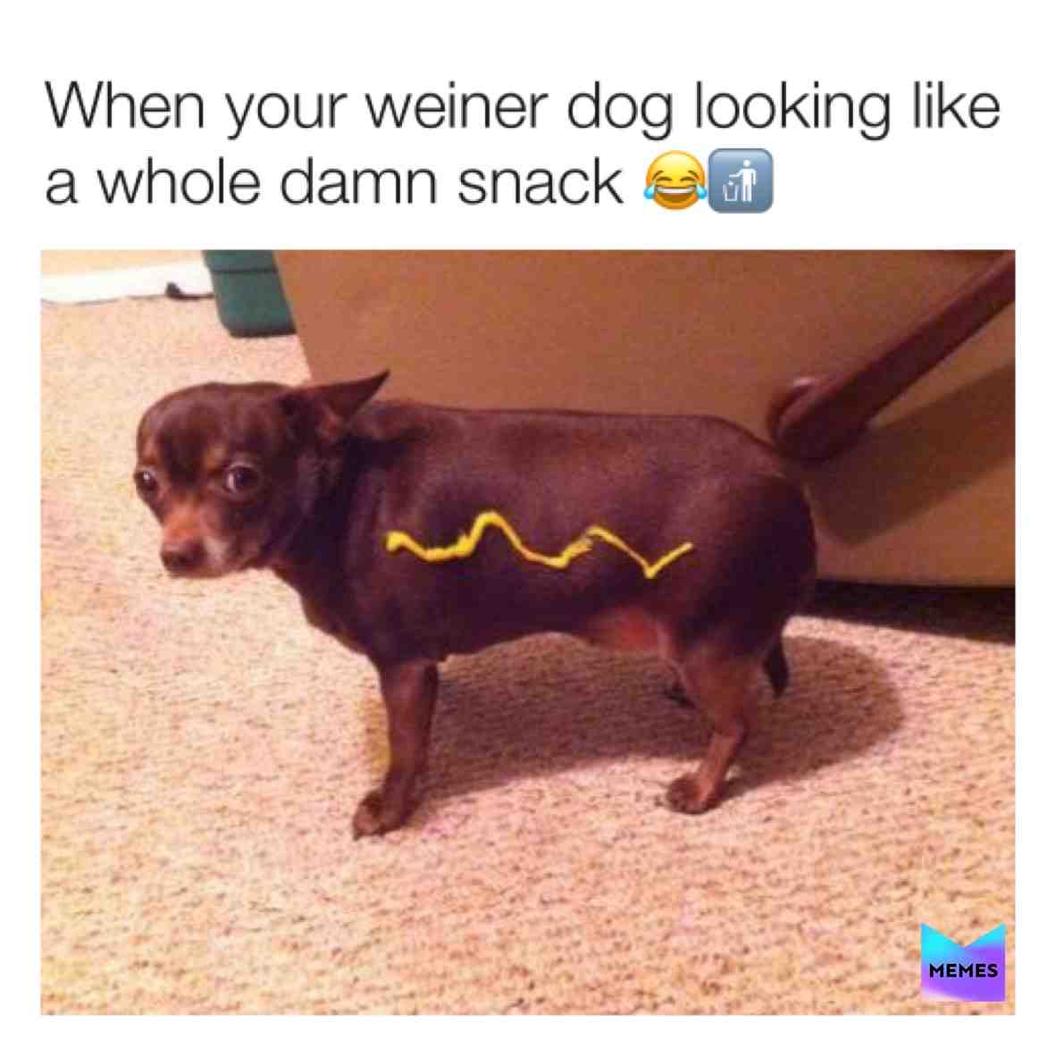 😂  #memes  #teammemes