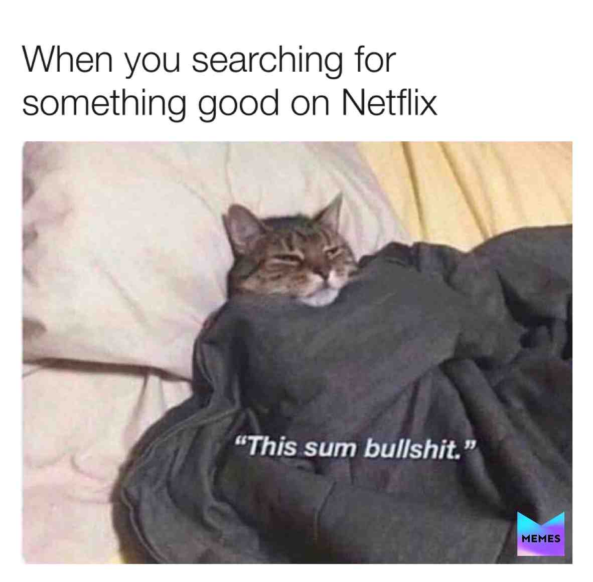 #memes  #teammemes