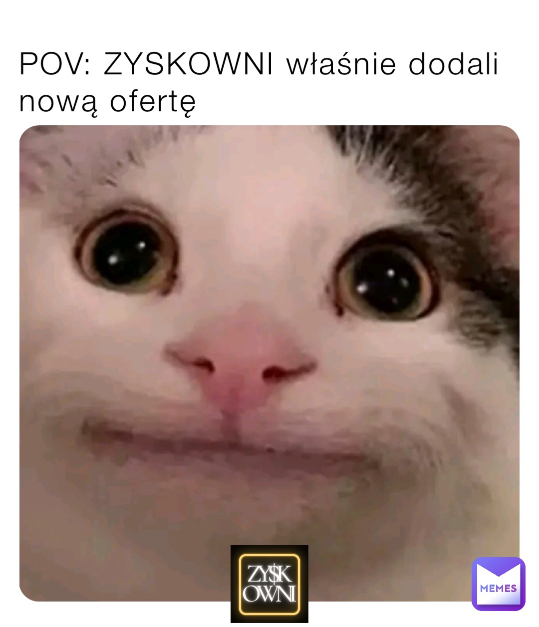 POV: ZYSKOWNI właśnie dodali nową ofertę