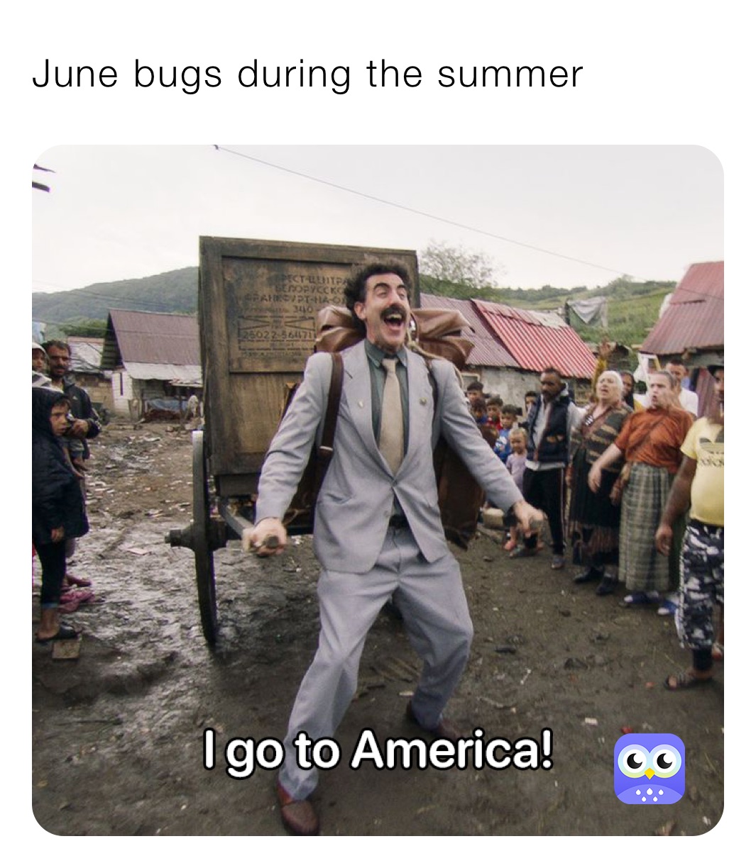 June bugs during the summer