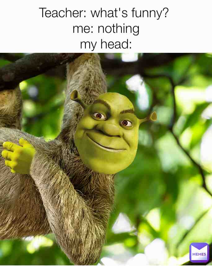 Shreck funnie