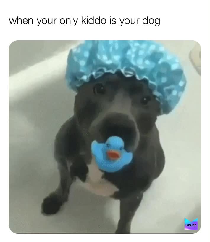 #doglove Gogbaby