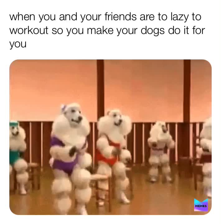 #lazy  #dogs