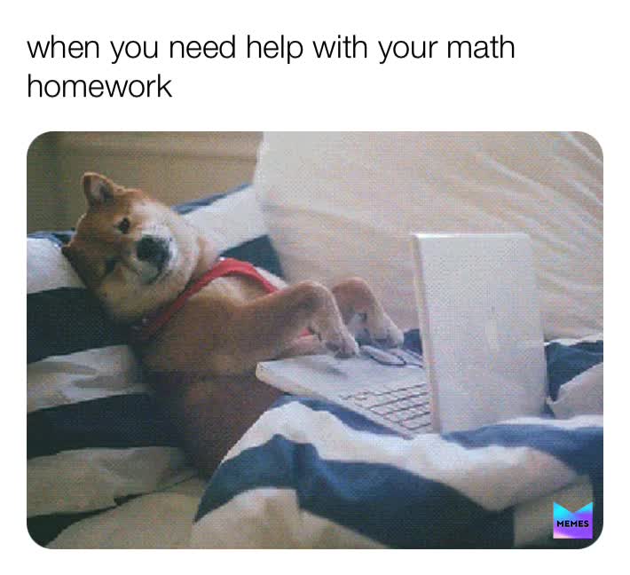 #dogs  #helpme