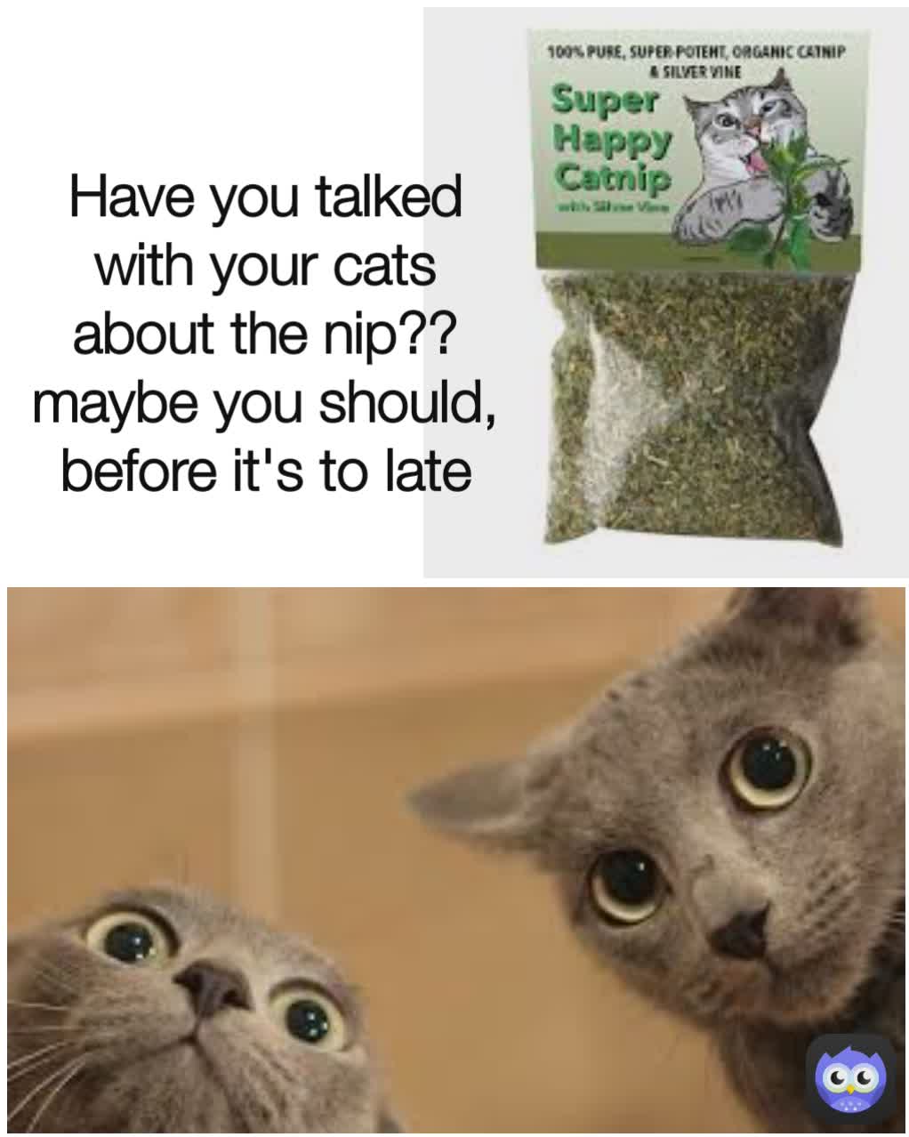 Have you talked with your cats about the nip??maybe you should, before it's to late