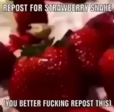 Meme shared by @Destinyuneeded