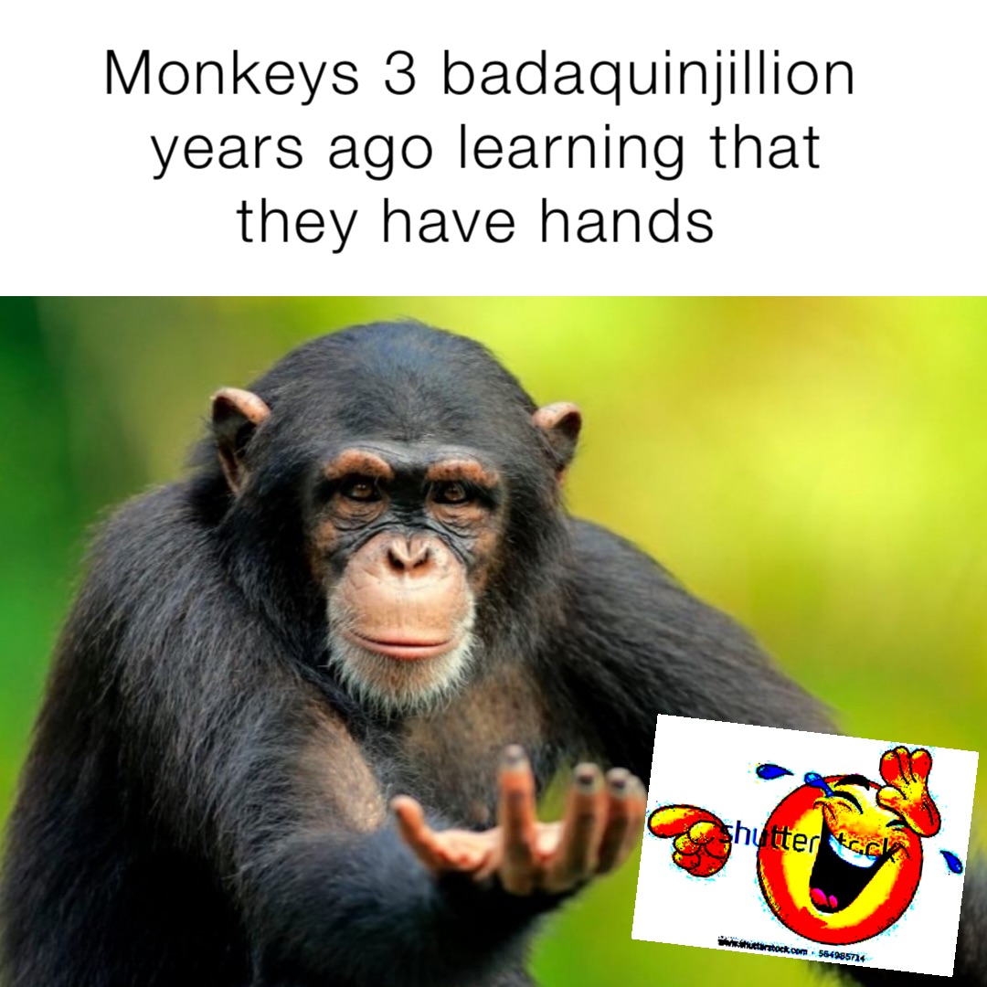 Monkeys 3 badaquinjillion years ago learning that they have hands