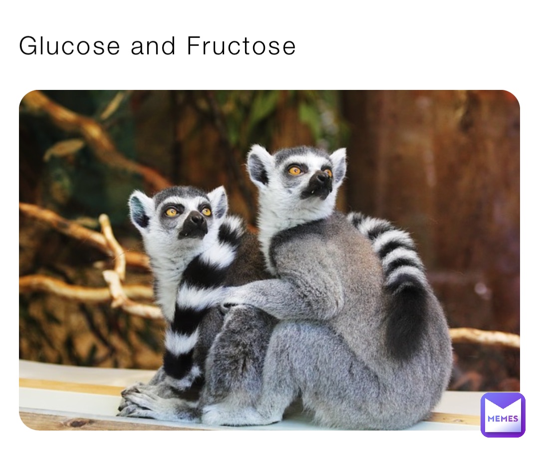 Glucose and Fructose