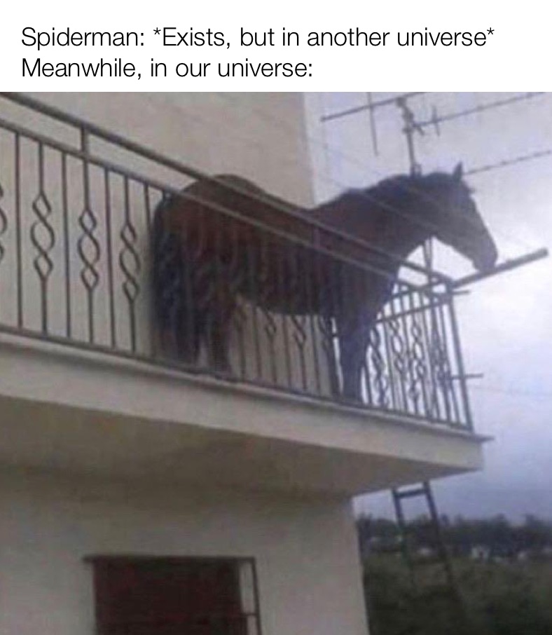 Meme by frankfirethebest