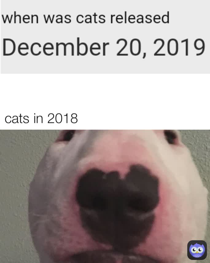 cats in 2018