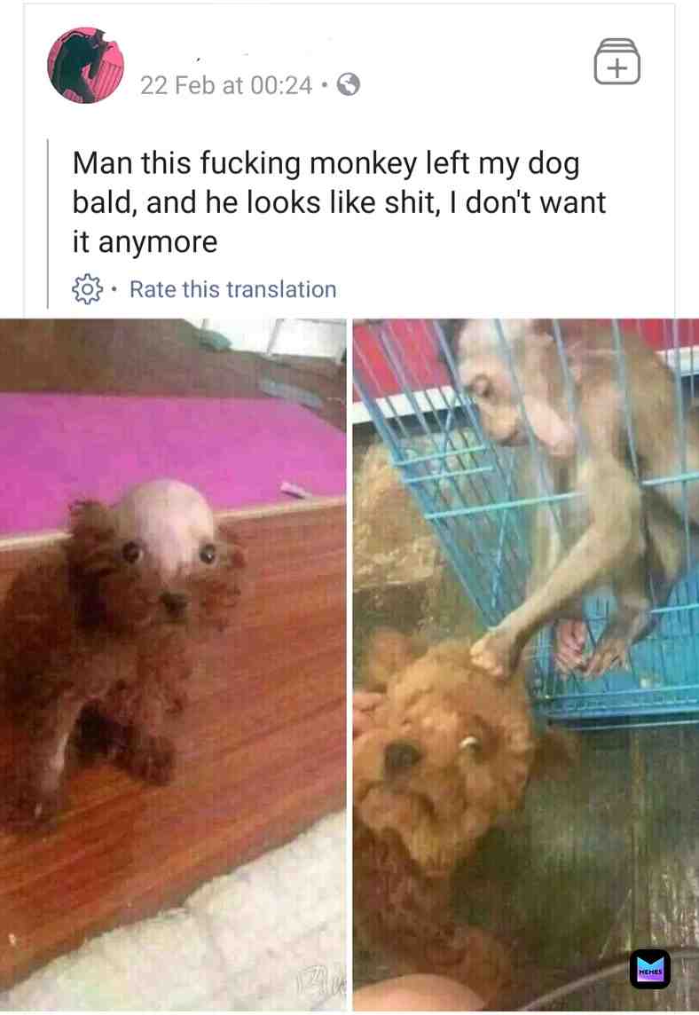 Meme shared by @th3d33pfrier