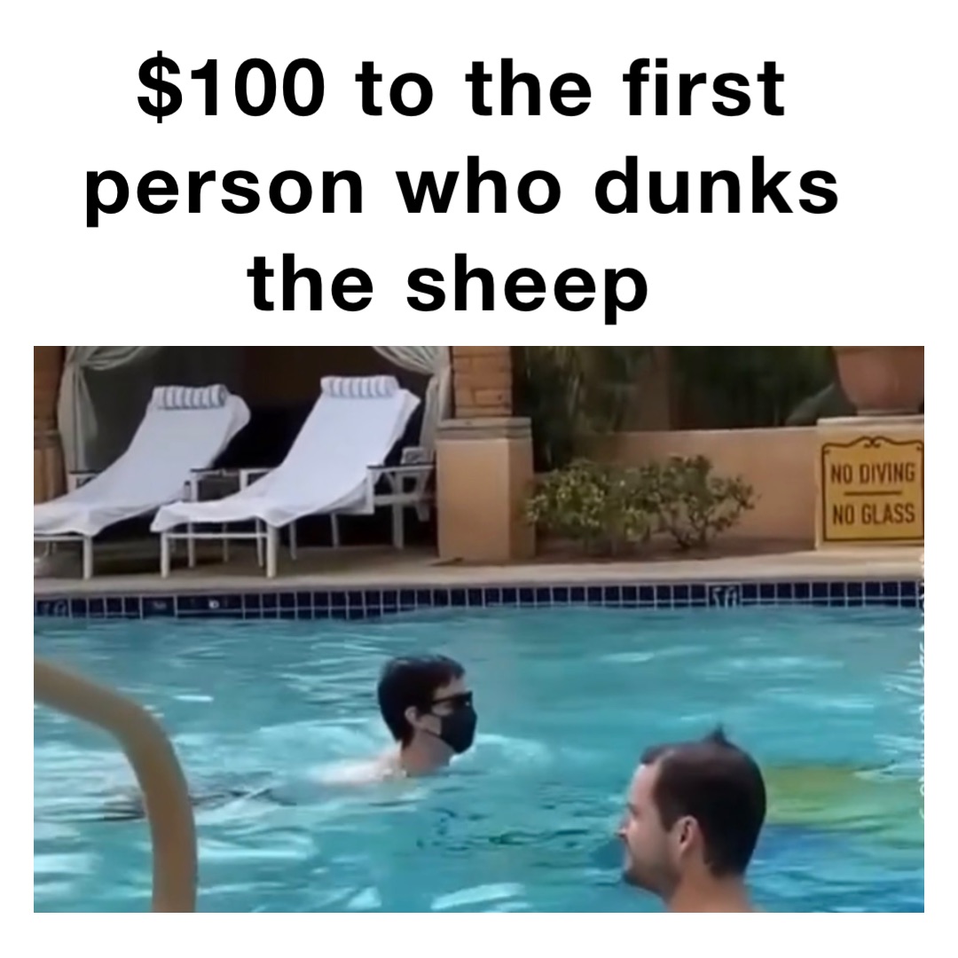 $100 to the first person who dunks the sheep