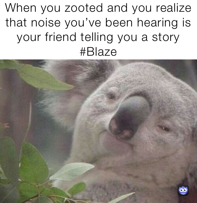 When you zooted and you realize that noise you’ve been hearing is your friend telling you a story #Blaze when you realize that noise you’ve been hearing this whole time is your friend telling you a story 