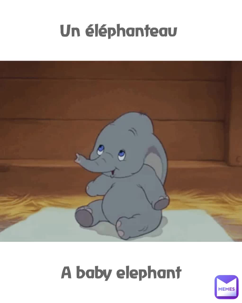 A baby elephant Un éléphanteau MissieGee Memes