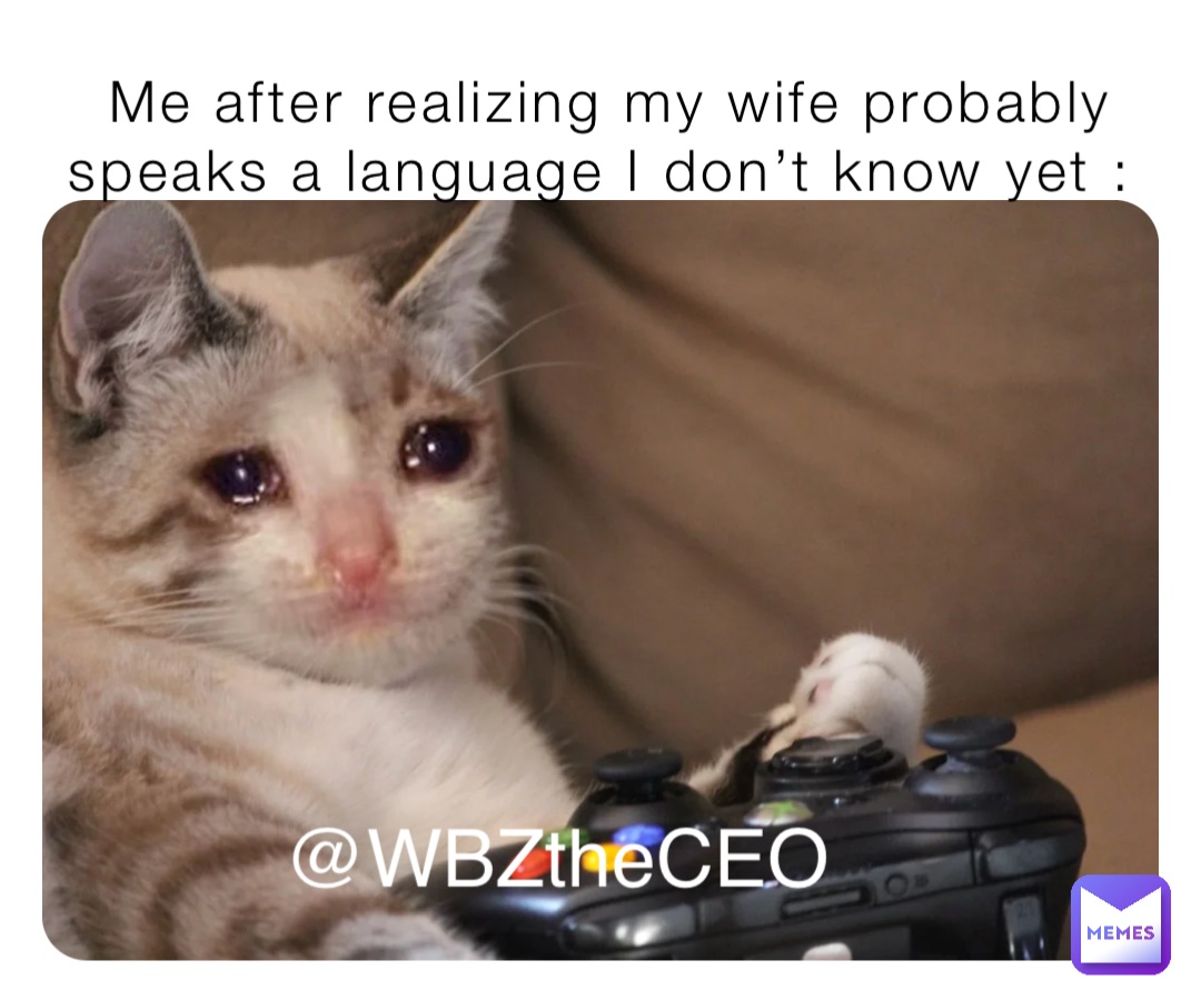 Me after realizing my wife probably speaks a language I don’t know yet : @WBZtheCEO