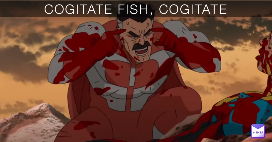 COGITATE FISH, COGITATE