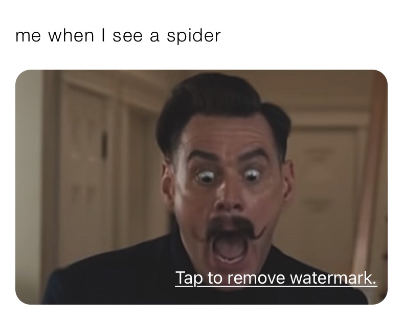 me when I see a spider