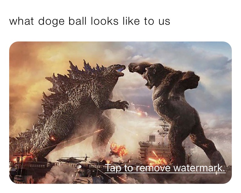 what doge ball looks like to us