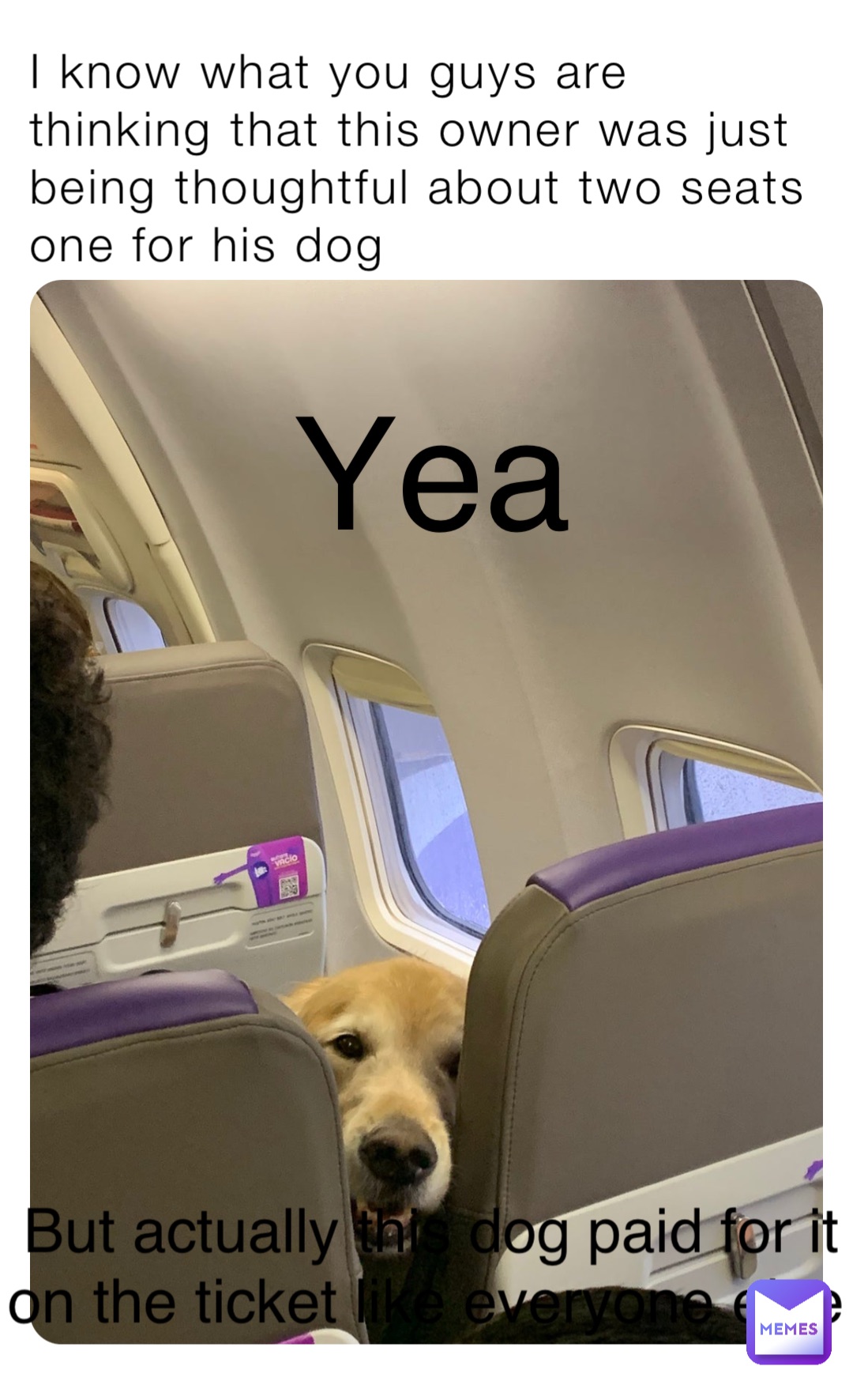 I know what you guys are thinking that this owner was just being thoughtful about two seats one for his dog But actually this dog paid for it on the ticket like everyone else Yea