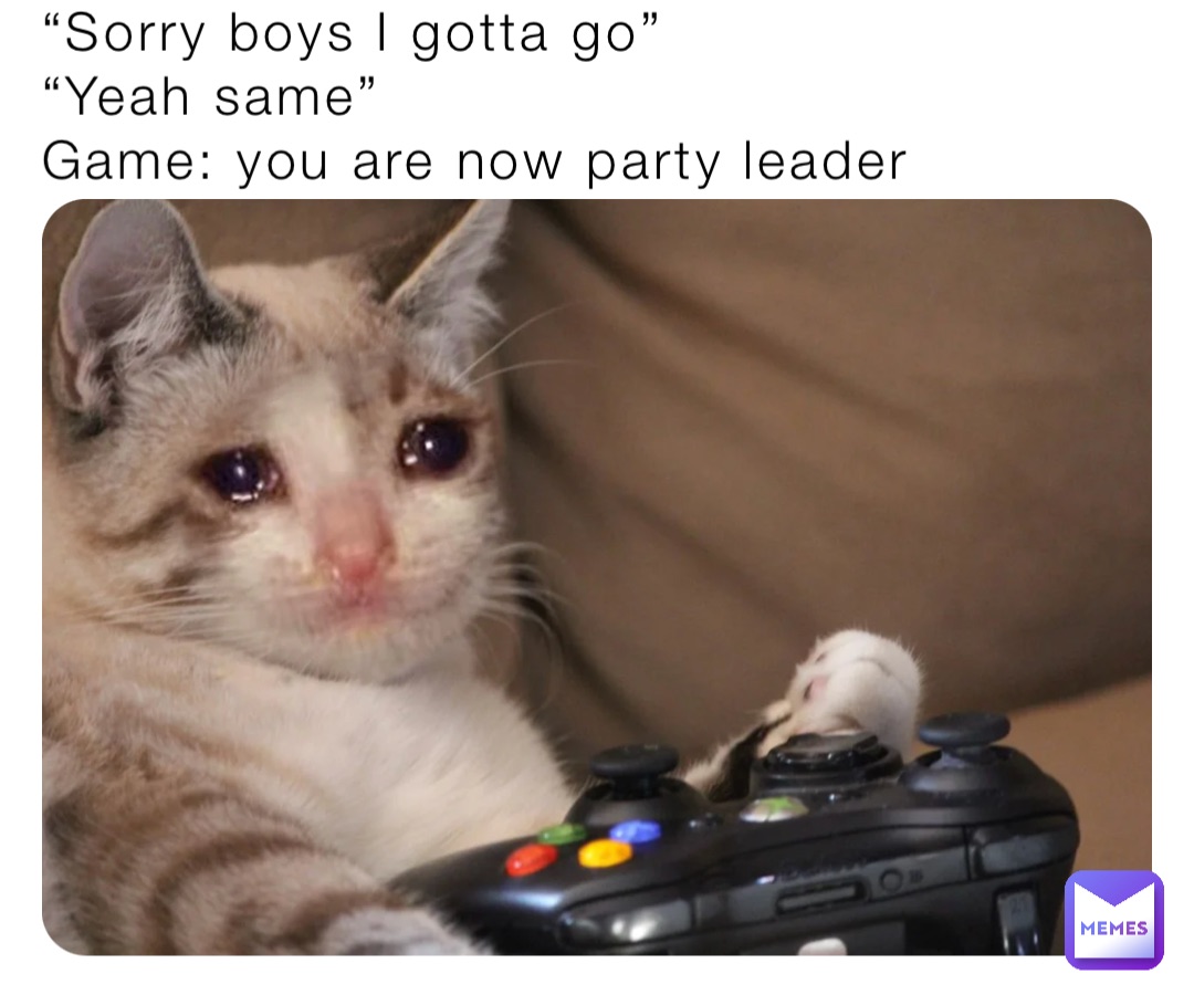 “Sorry boys I gotta go”
“Yeah same”
Game: you are now party leader