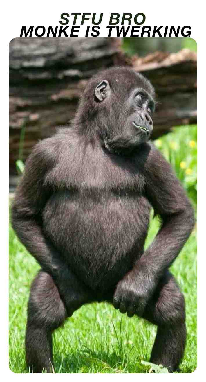 ​ #bruh  #fyp  #twerk