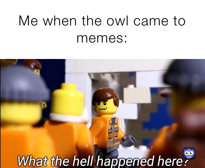 Me when the owl came to memes: