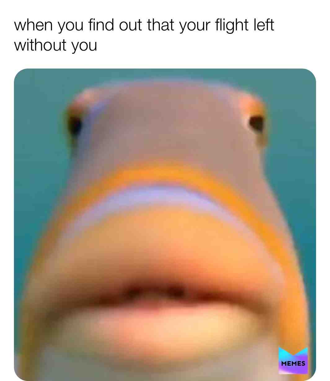 True story 😳 #funnymemes #toiletpaper #memesrlife #fishy