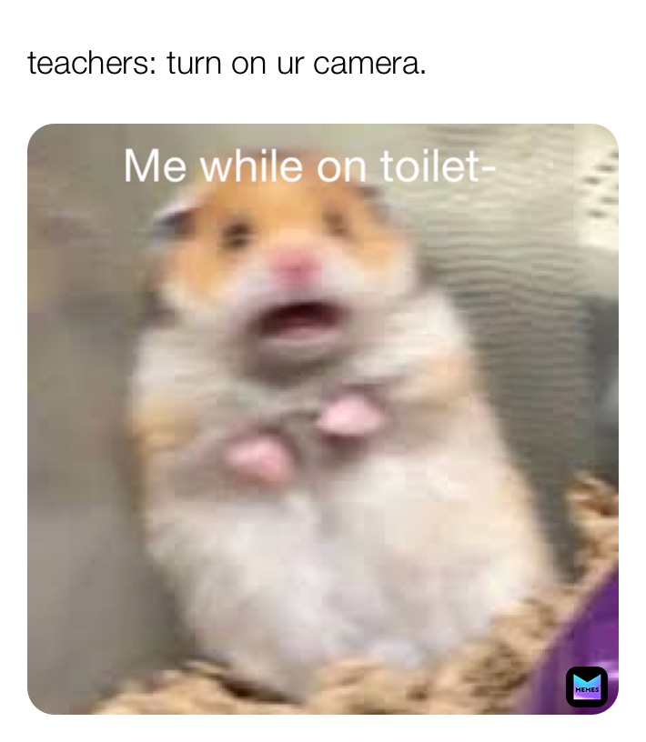 Meme by every_username_is_taken