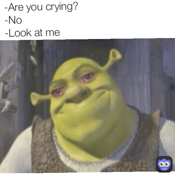 -Are you crying?
-No
-Look at me