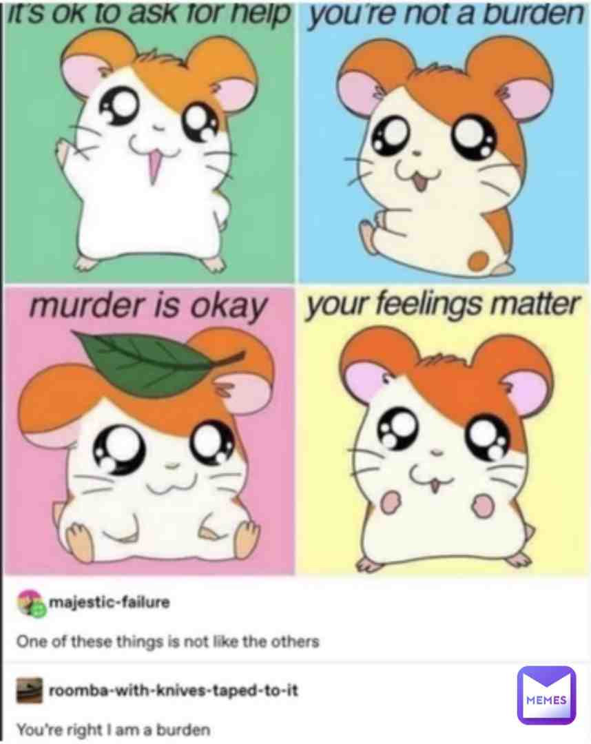 Meme shared by @polymoly