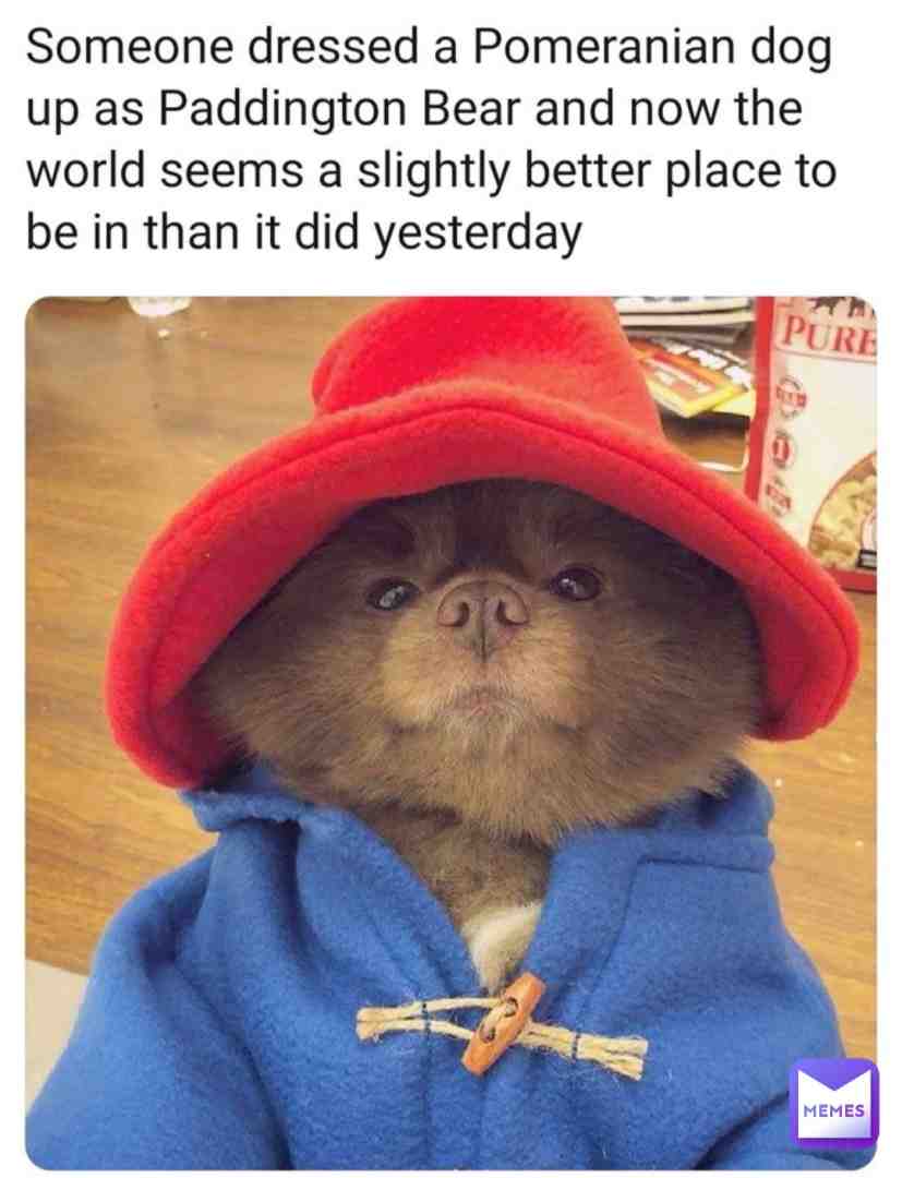 Meme shared by @polymoly