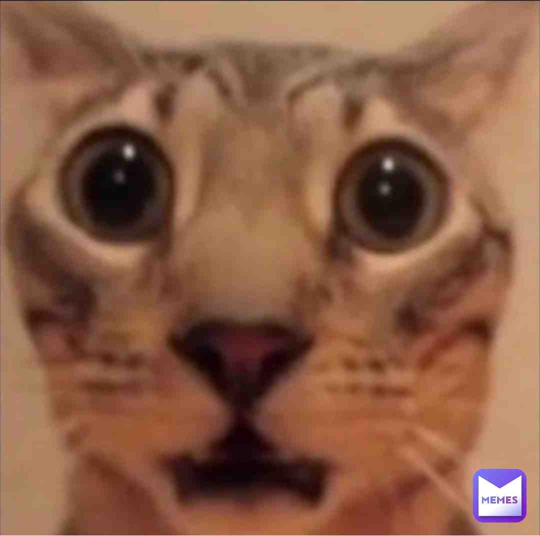 Meme shared by @polymoly