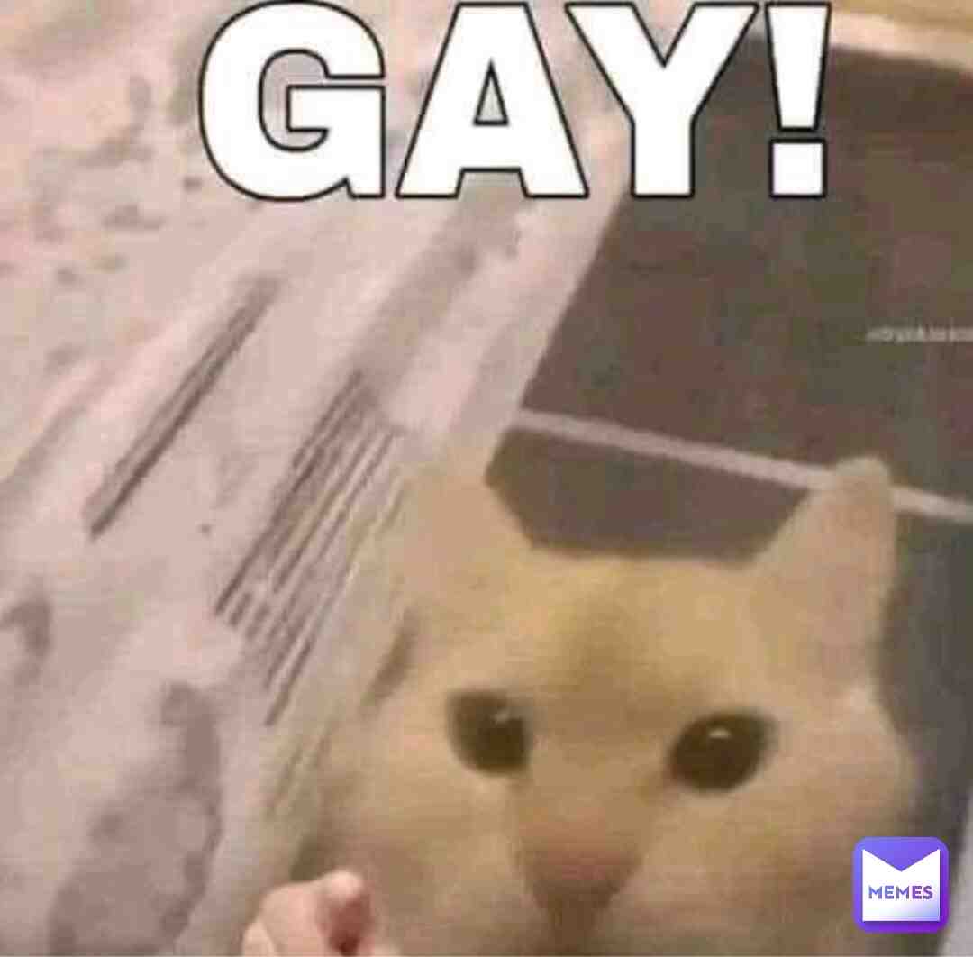 U HOMO