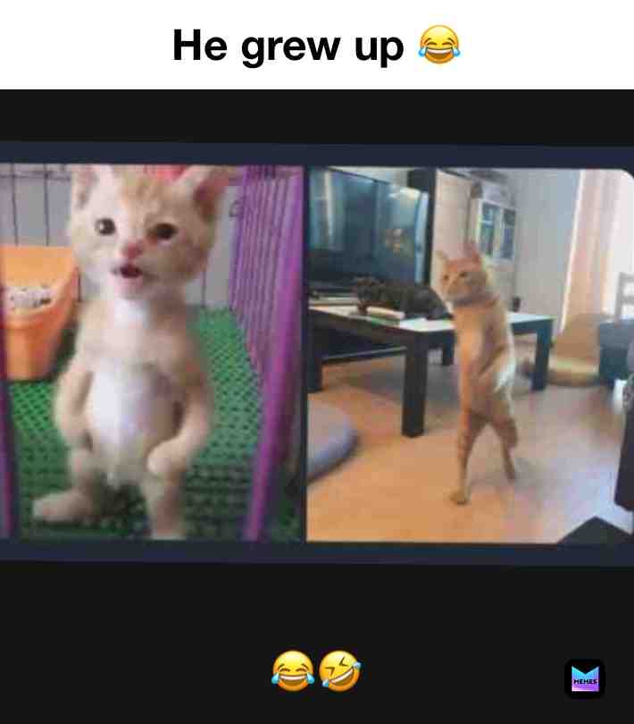  #Yeet #lol #follow #ay