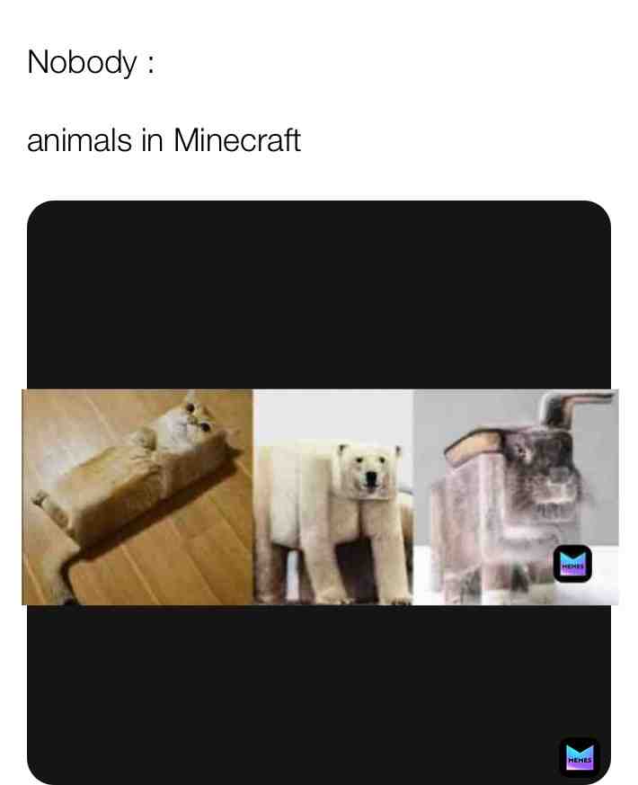  #true dat #lol #ay #follow #Yeet