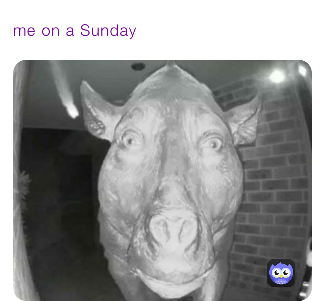 Meme by scottweigand1