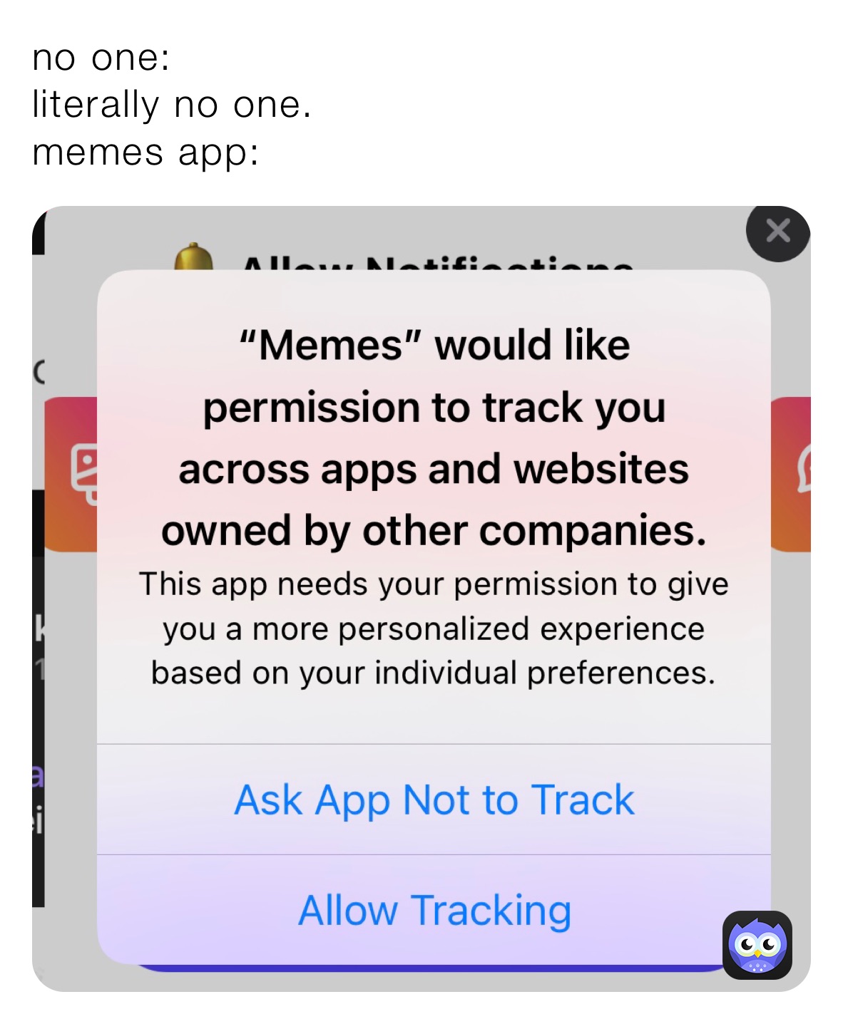 no one literally no one. memes app parrwiz Memes