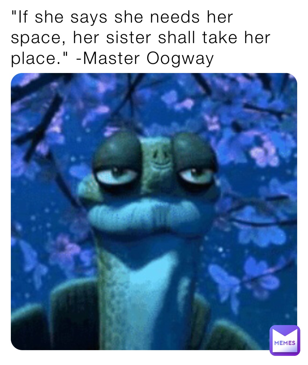 "If she says she needs her space, her sister shall take her place." -Master Oogway