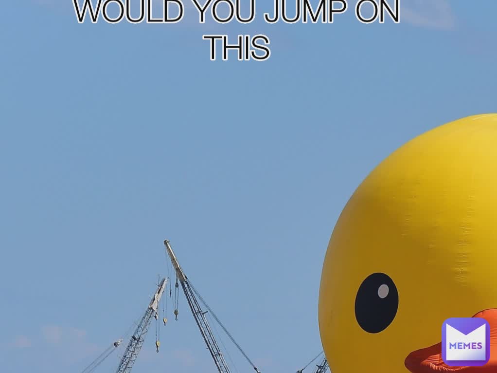 WOULD YOU JUMP ON THIS