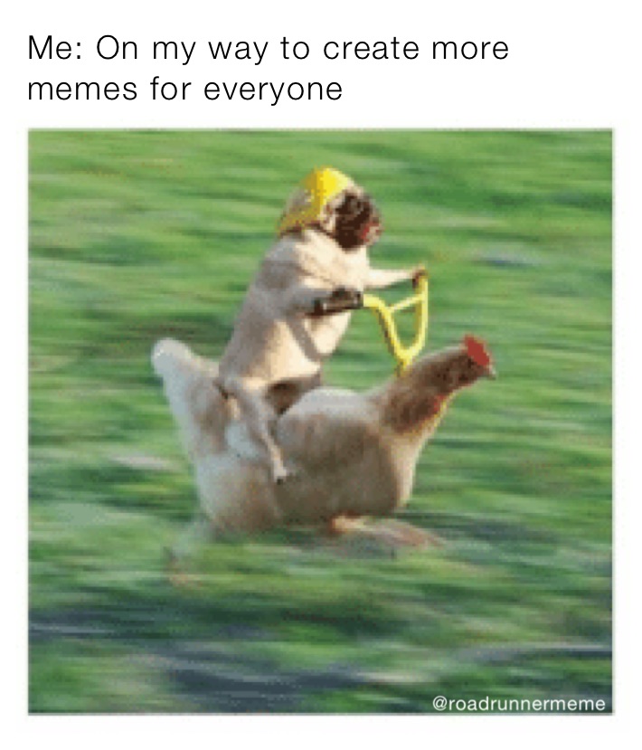 Me: On my way to create more memes for everyone