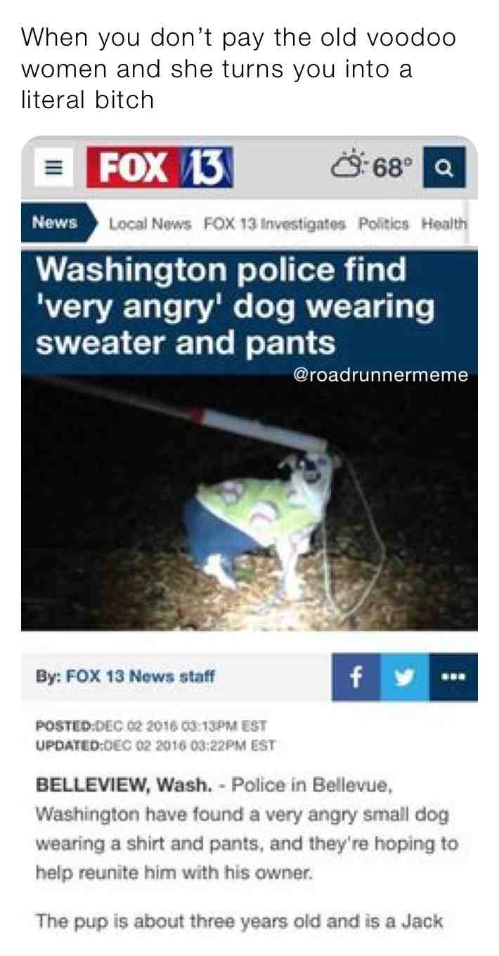 #dog #funny #legit #magic #voodoo #damn #forreal