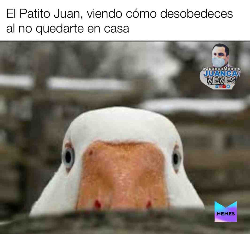 Quédate en casa
d^*’??✔️1?? PLEASE #follow and #share
#JuancaMemes
#meme #memes #funny #memesdaily #funnymemes #lol #follow #lmao #love #memesenespanol #dailymemes #comedy #fun #quarentine #fortnite #funnymeme #corona #coronamemes #coronavirus 